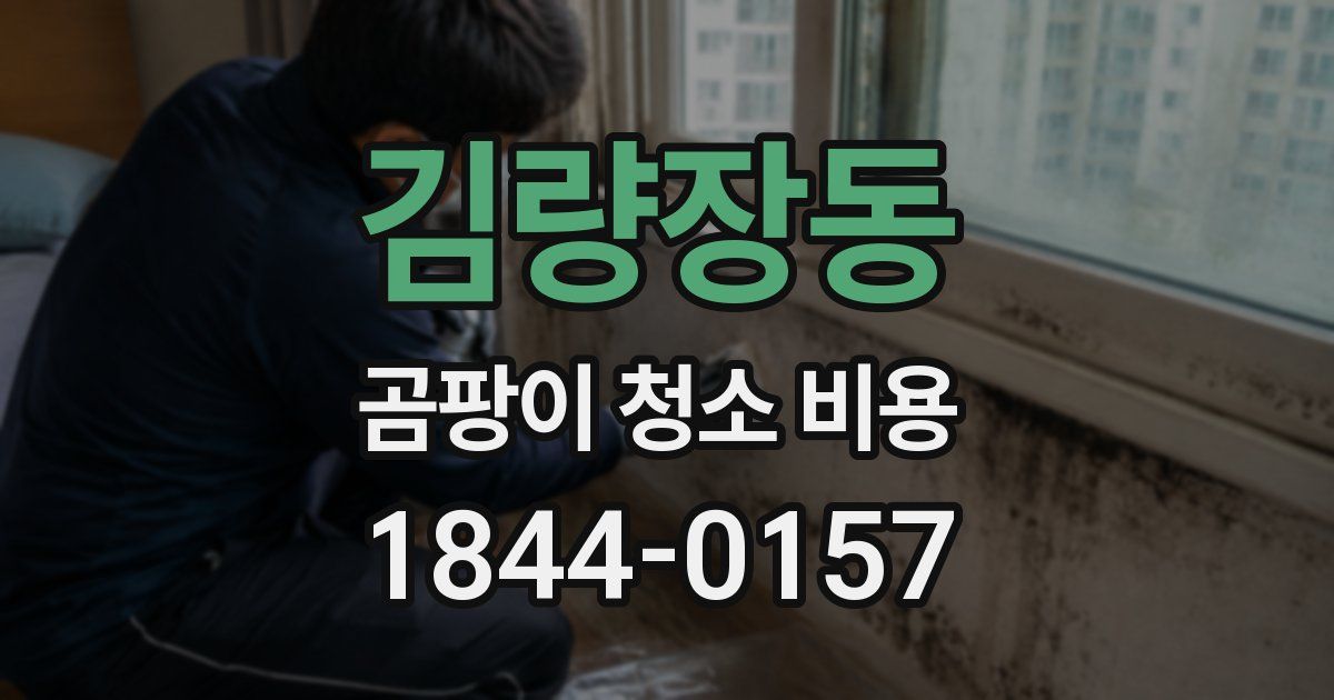 김량장동 곰팡이 청소 비용