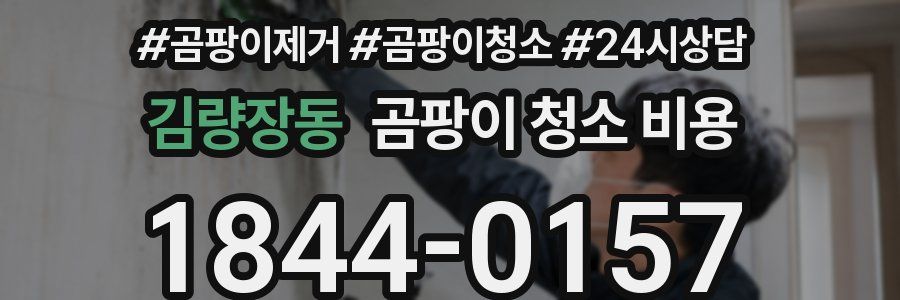 김량장동 곰팡이 청소 비용