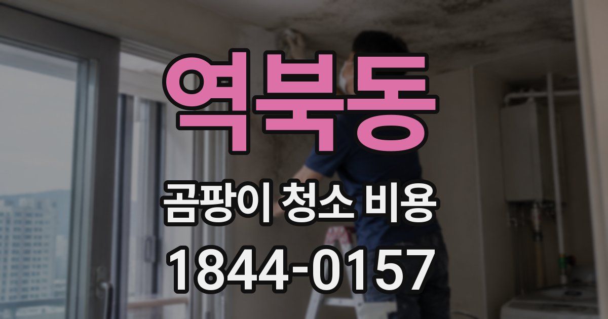 역북동 곰팡이 청소 비용