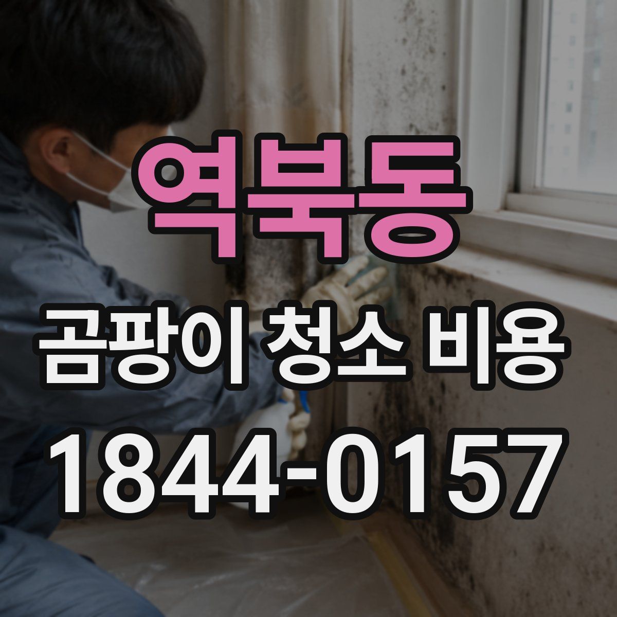 역북동 곰팡이 청소 비용