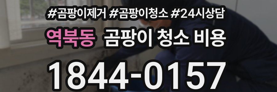 역북동 곰팡이 청소 비용