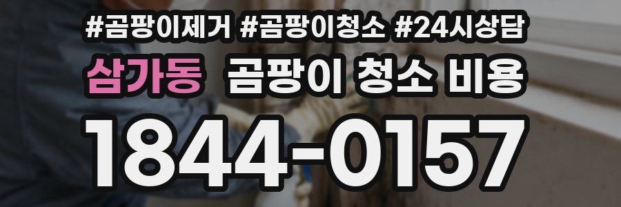 삼가동 곰팡이 청소 비용
