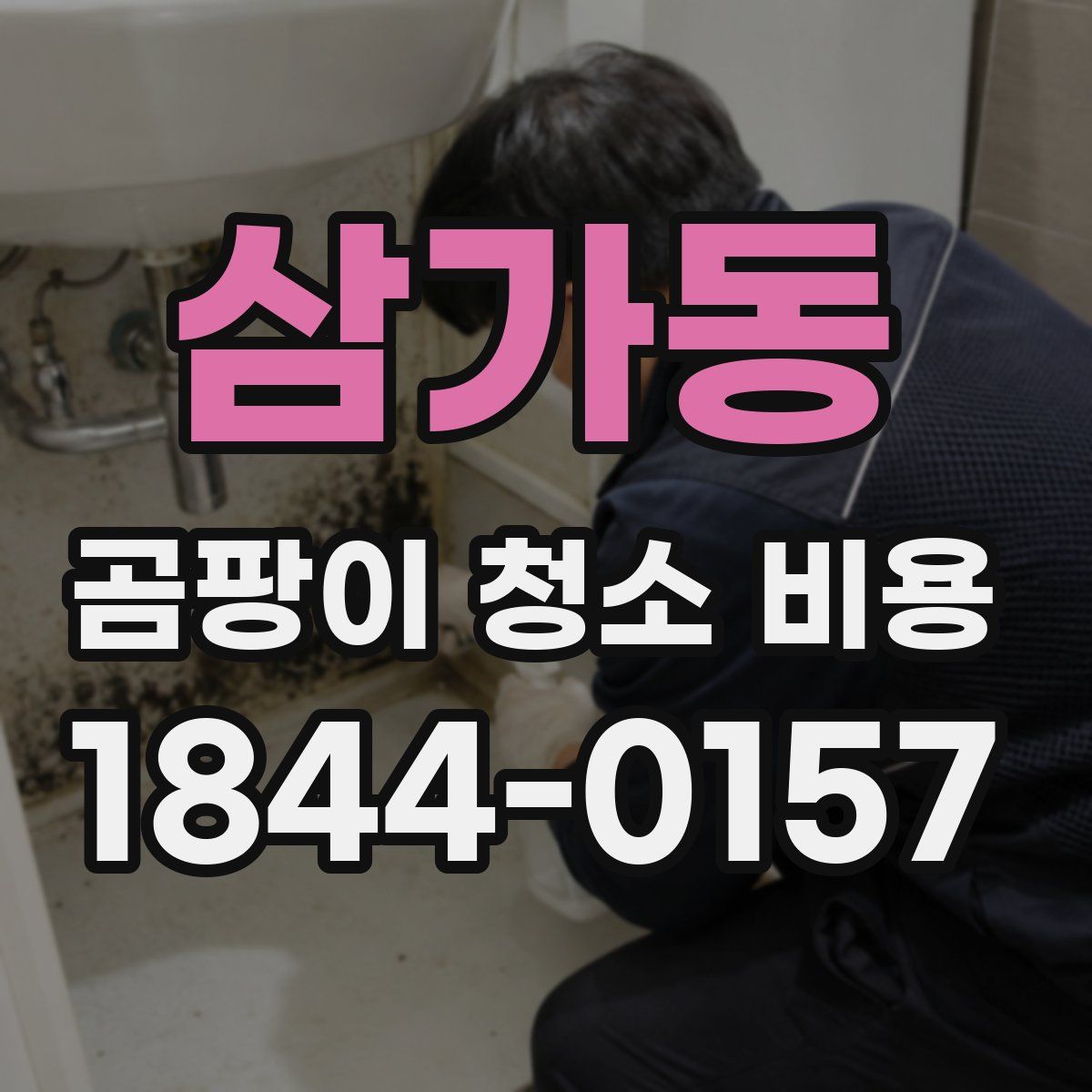 삼가동 곰팡이 청소 비용