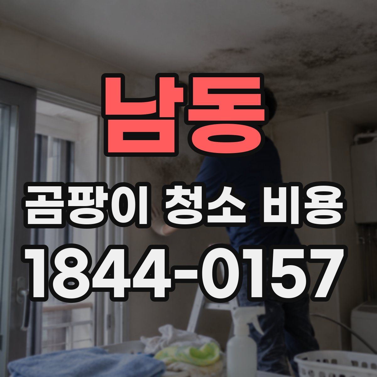 남동 곰팡이 청소 비용