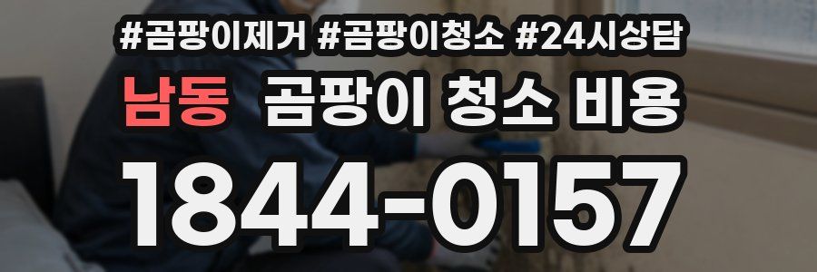 남동 곰팡이 청소 비용
