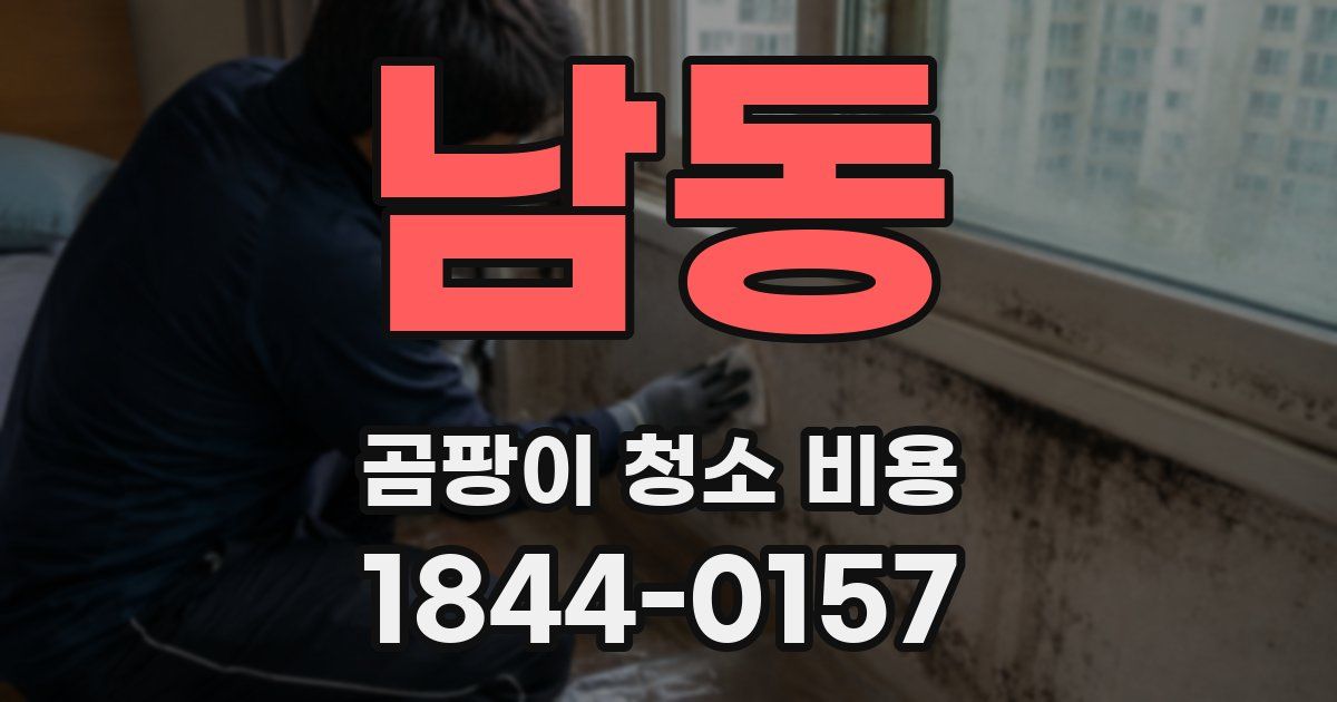 남동 곰팡이 청소 비용