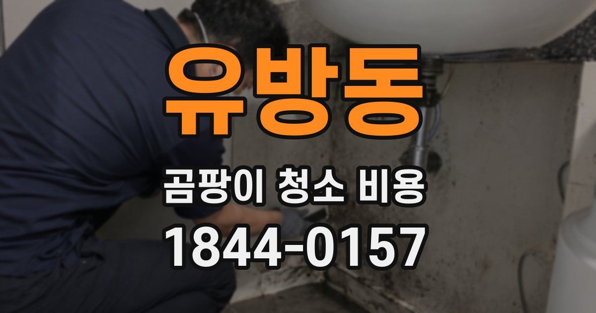 유방동 곰팡이 청소 비용