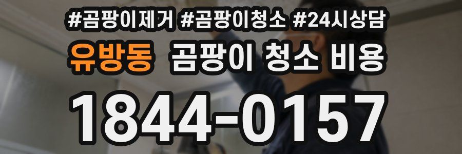 유방동 곰팡이 청소 비용