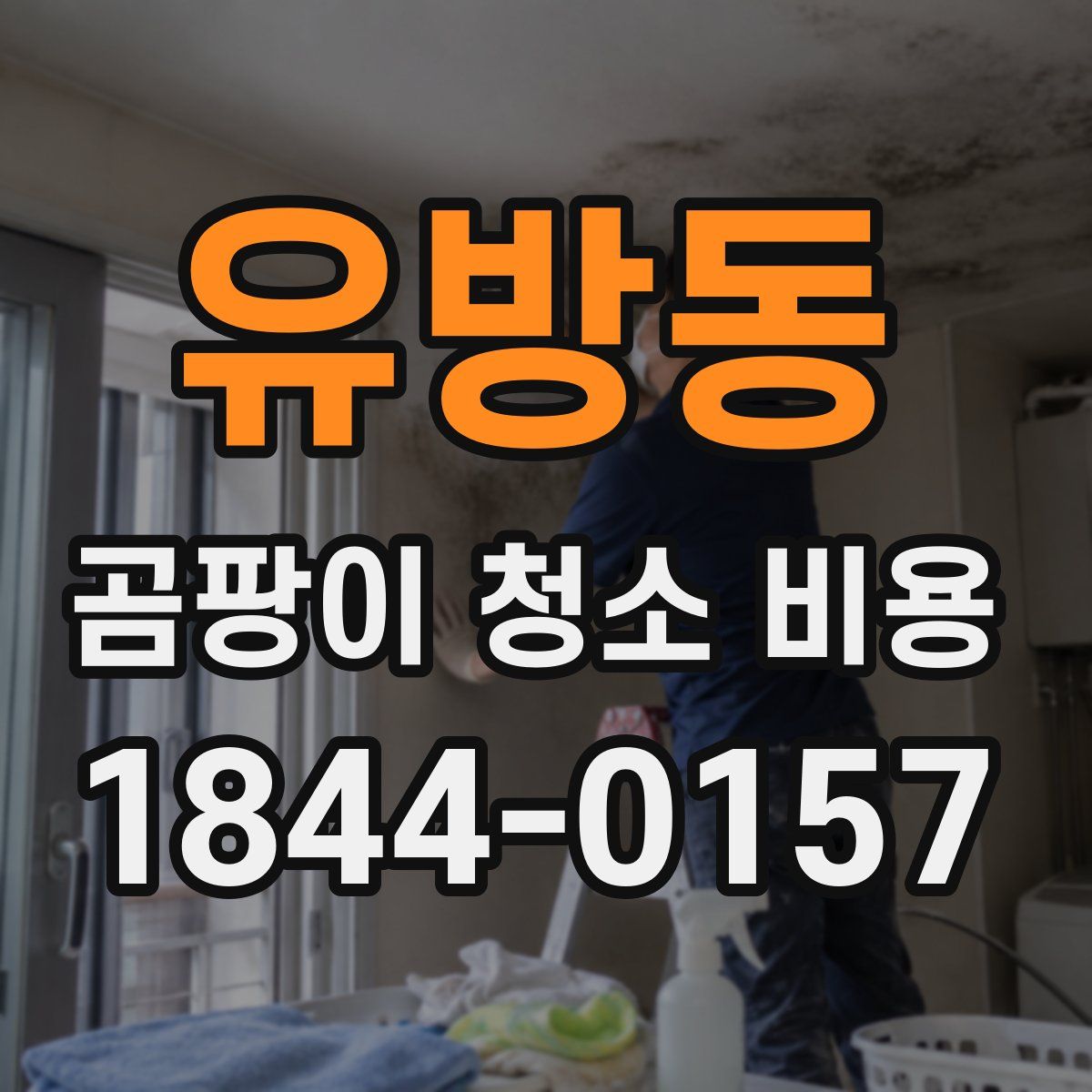 유방동 곰팡이 청소 비용