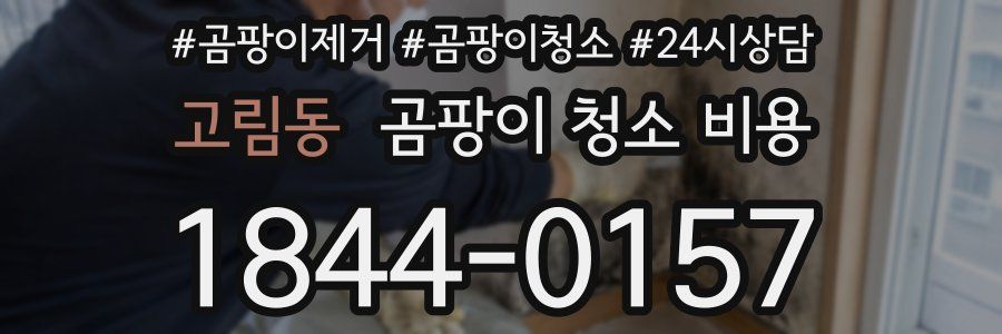 고림동 곰팡이 청소 비용