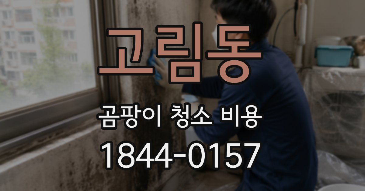 고림동 곰팡이 청소 비용