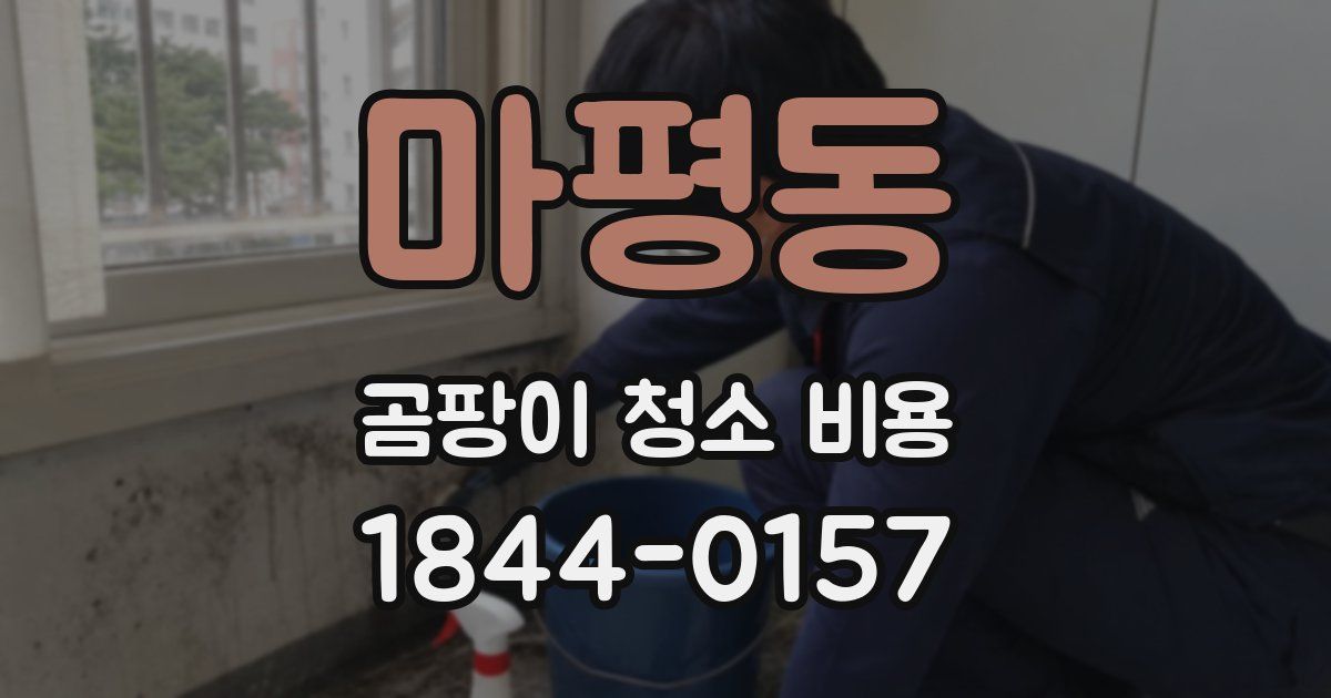 마평동 곰팡이 청소 비용