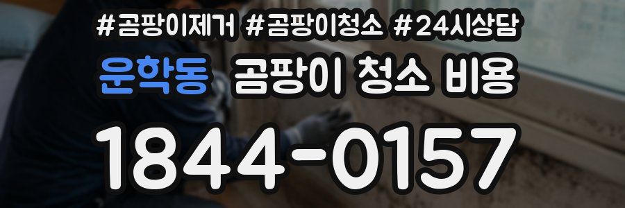 운학동 곰팡이 청소 비용