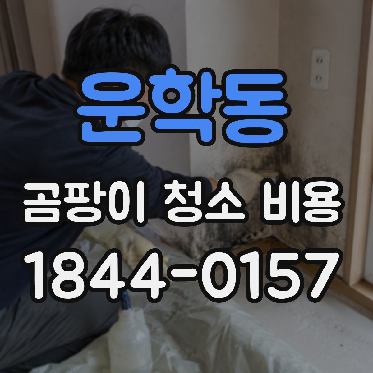 운학동 곰팡이 청소 비용