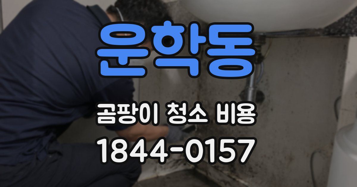 운학동 곰팡이 청소 비용