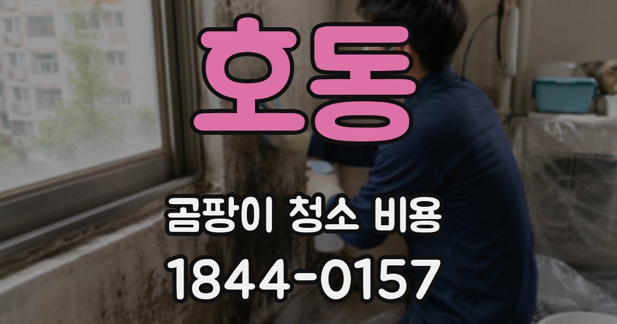 호동 곰팡이 청소 비용