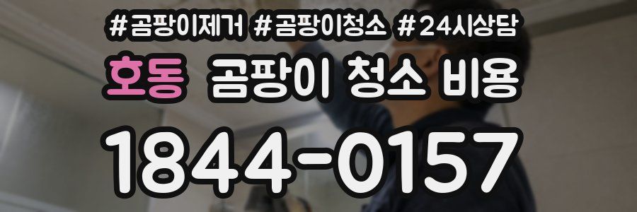 호동 곰팡이 청소 비용