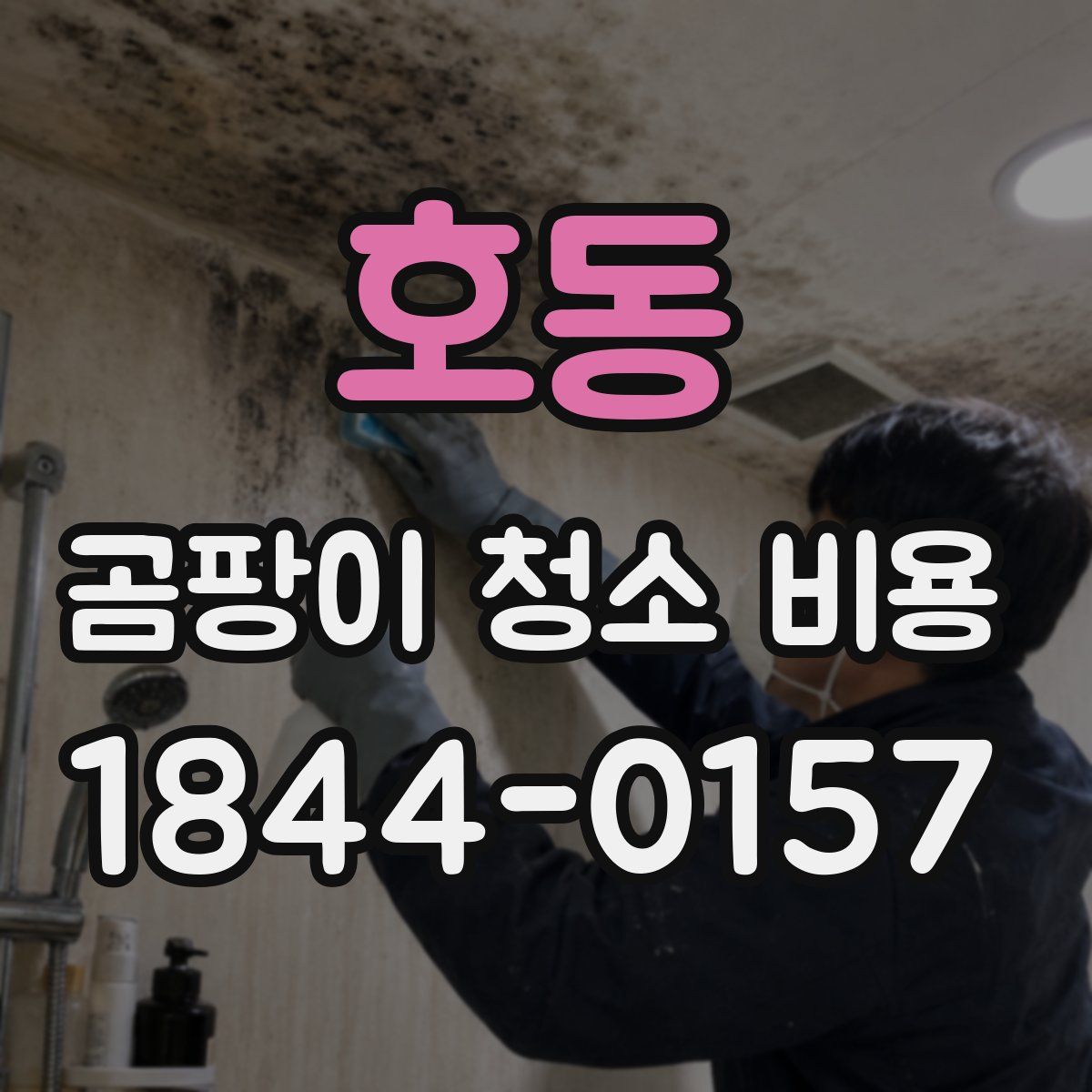 호동 곰팡이 청소 비용