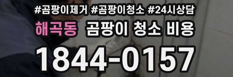 해곡동 곰팡이 청소 비용