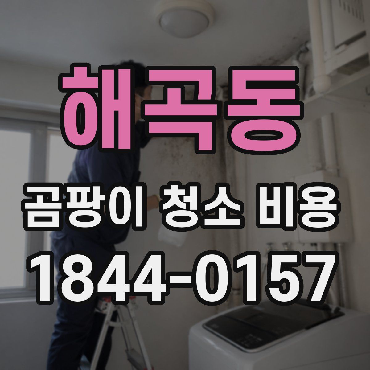 해곡동 곰팡이 청소 비용