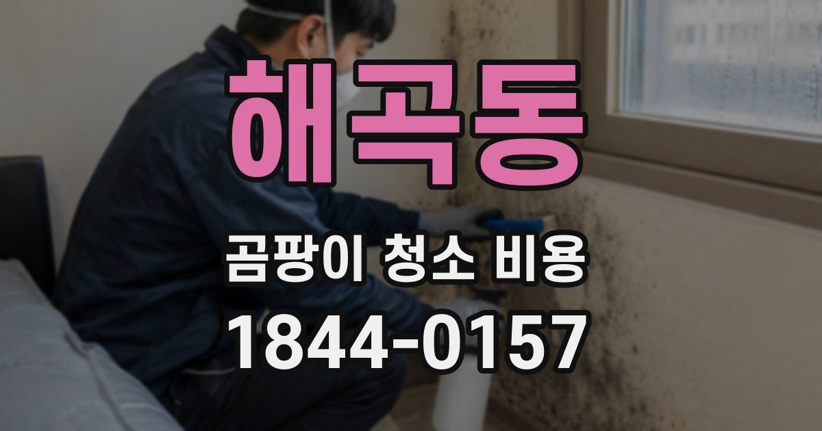 해곡동 곰팡이 청소 비용
