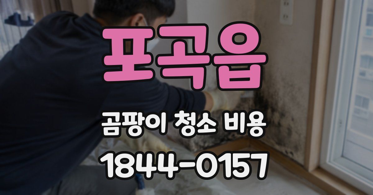 포곡읍 곰팡이 청소 비용