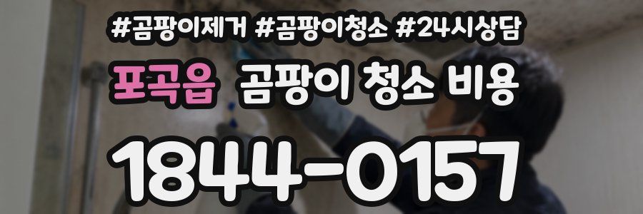 포곡읍 곰팡이 청소 비용