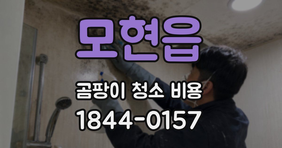 모현읍 곰팡이 청소 비용