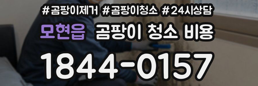 모현읍 곰팡이 청소 비용