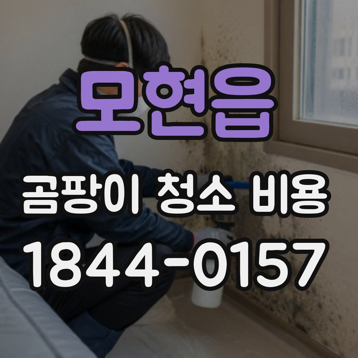 모현읍 곰팡이 청소 비용