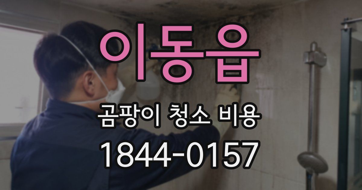 이동읍 곰팡이 청소 비용