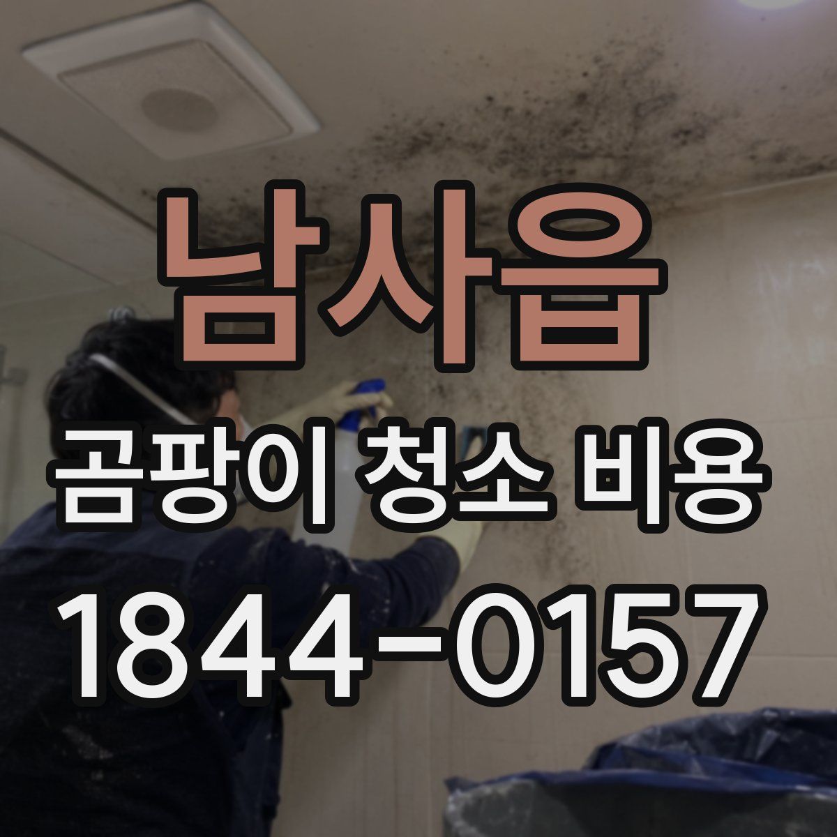 남사읍 곰팡이 청소 비용