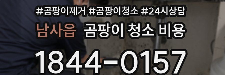 남사읍 곰팡이 청소 비용