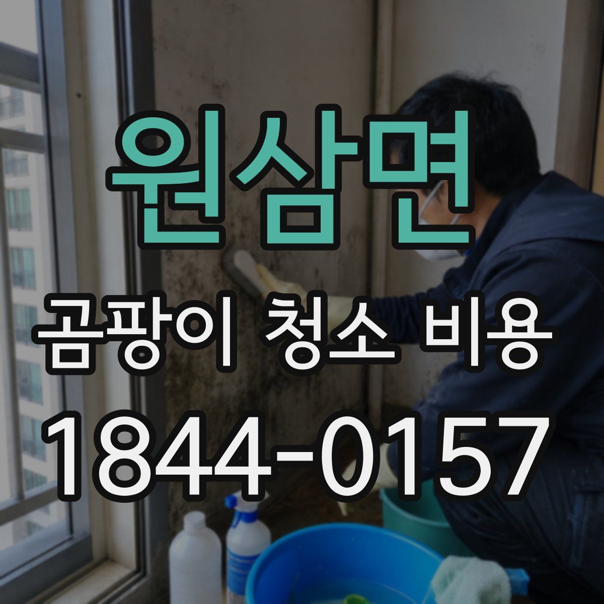 원삼면 곰팡이 청소 비용