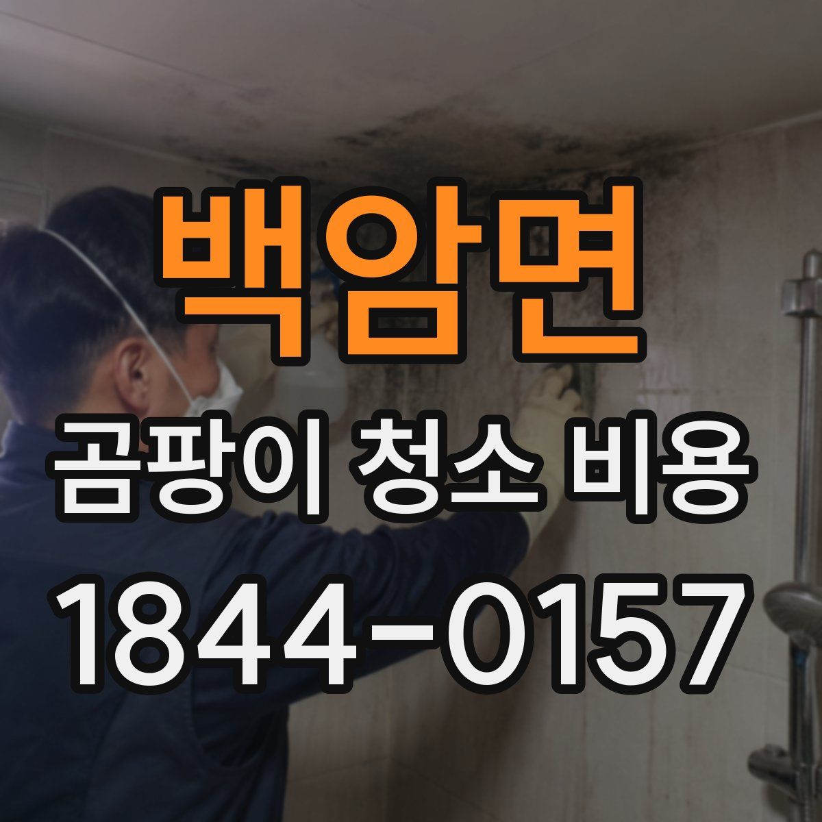백암면 곰팡이 청소 비용