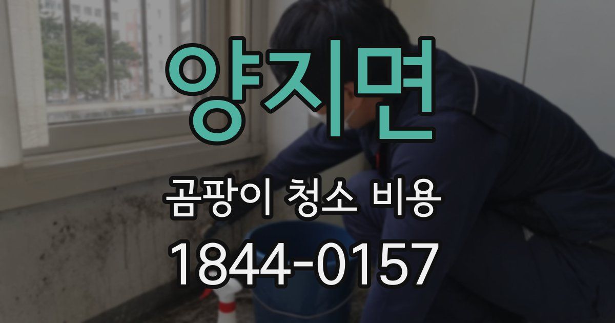 양지면 곰팡이 청소 비용