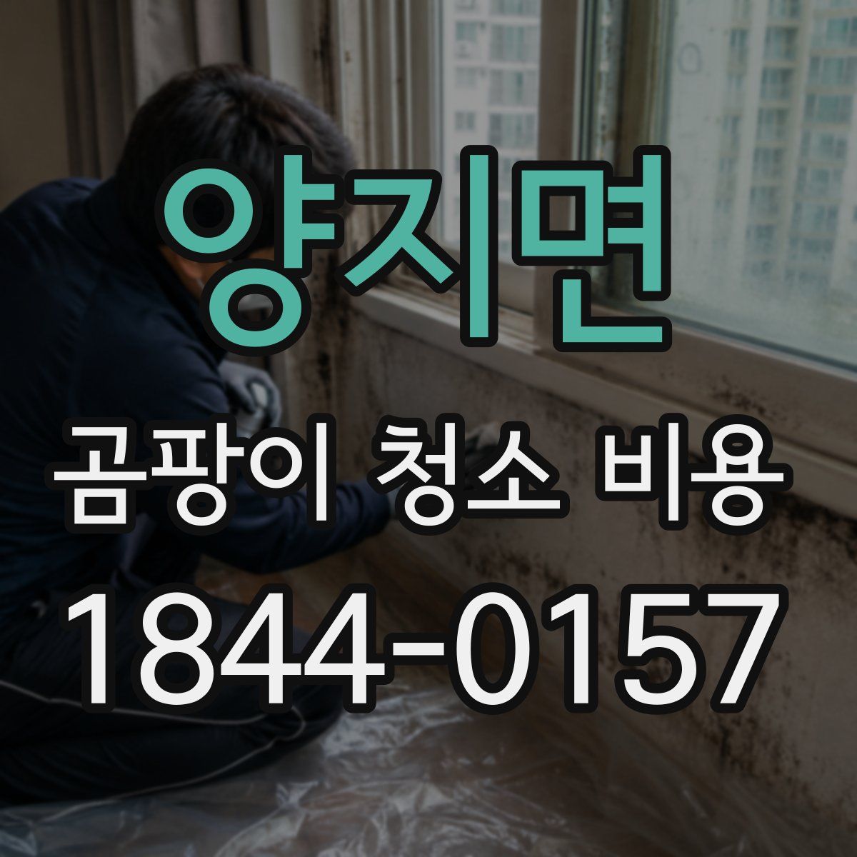 양지면 곰팡이 청소 비용