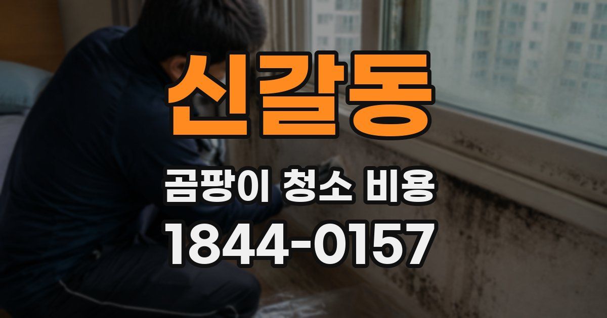 신갈동 곰팡이 청소 비용