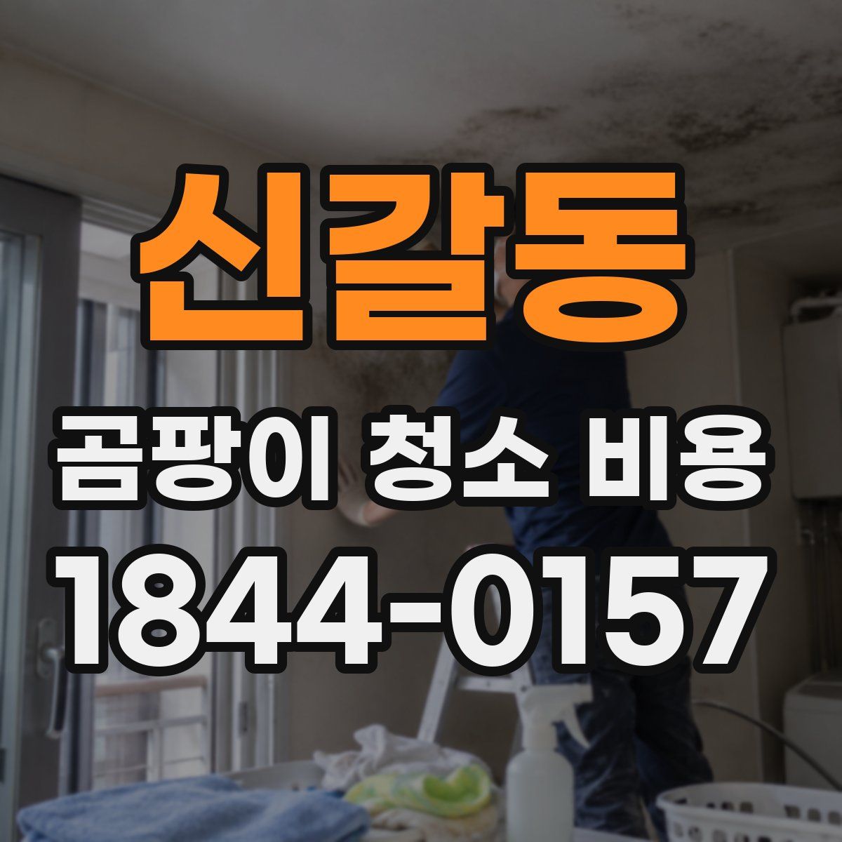 신갈동 곰팡이 청소 비용