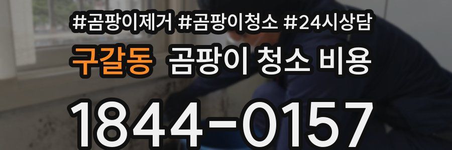 구갈동 곰팡이 청소 비용