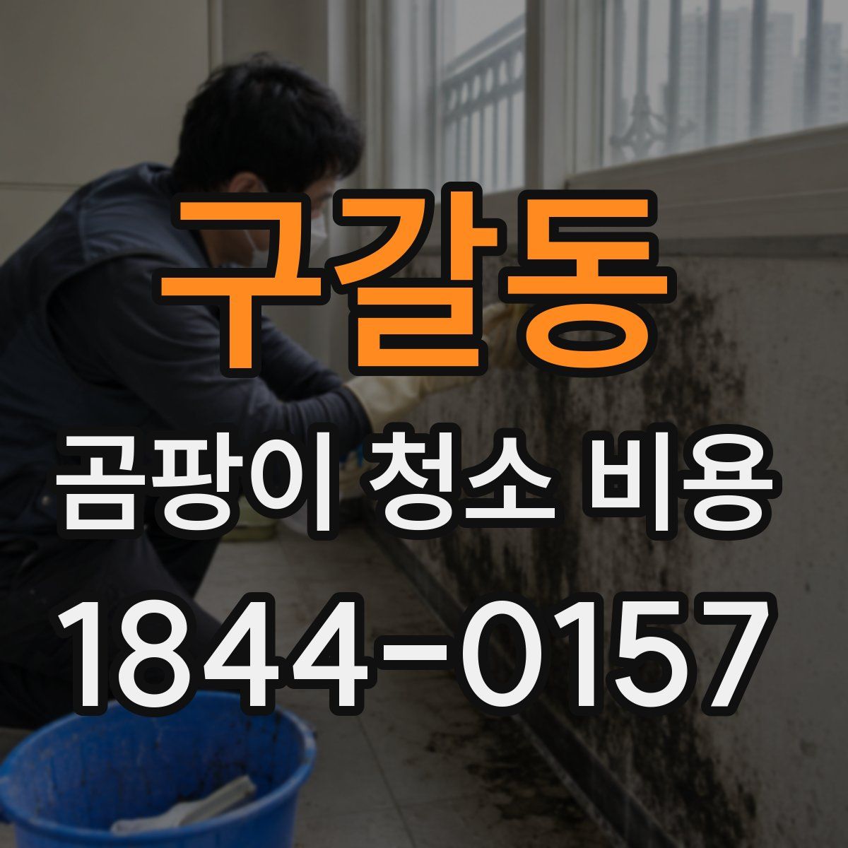 구갈동 곰팡이 청소 비용