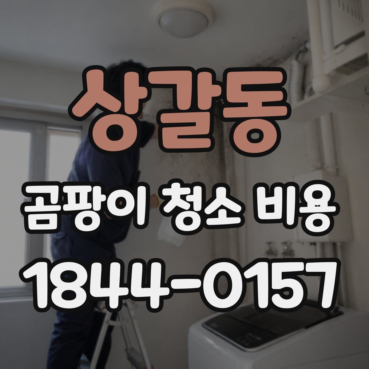 상갈동 곰팡이 청소 비용