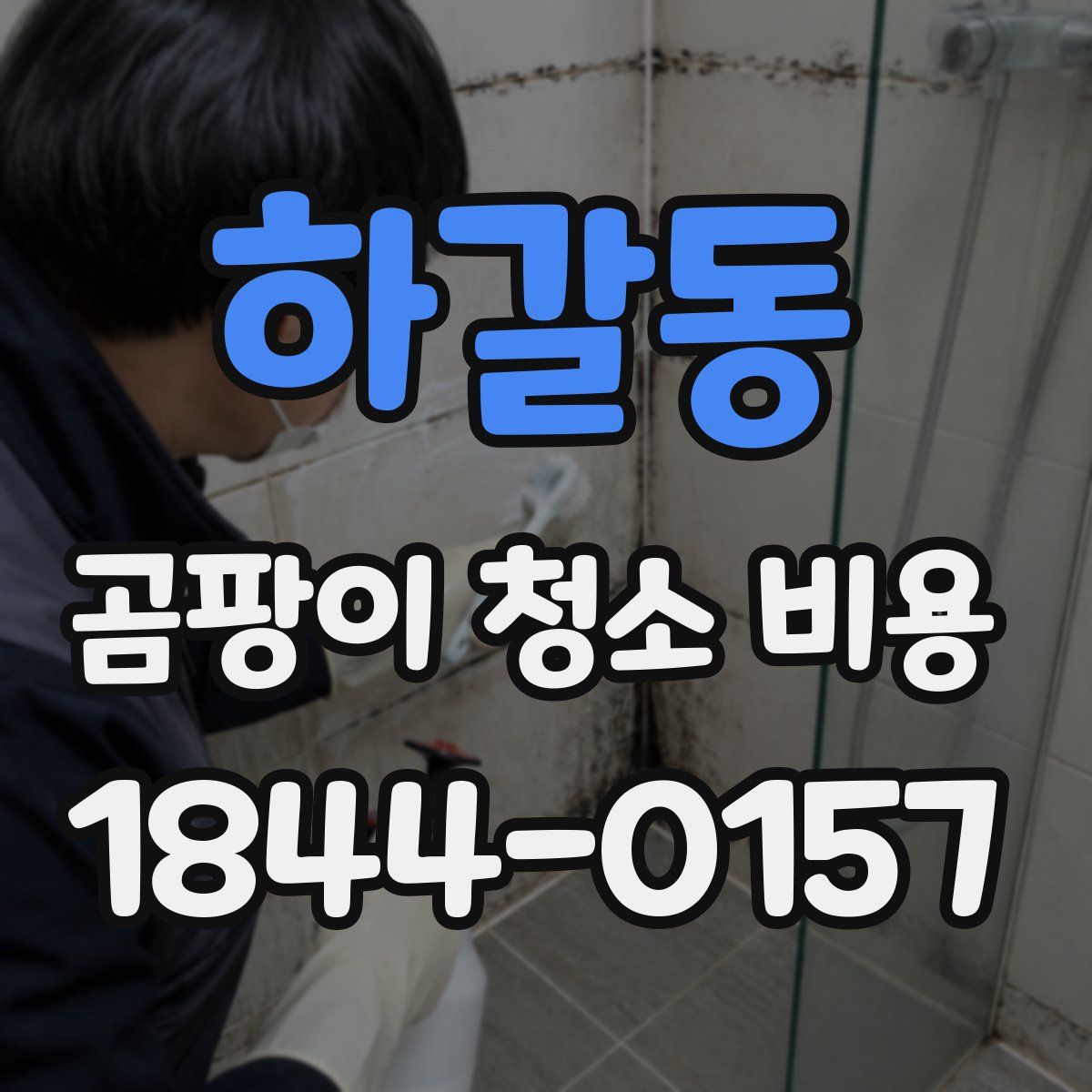 하갈동 곰팡이 청소 비용