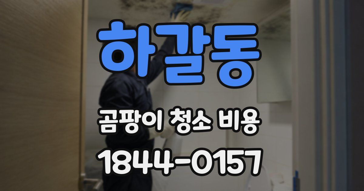 하갈동 곰팡이 청소 비용