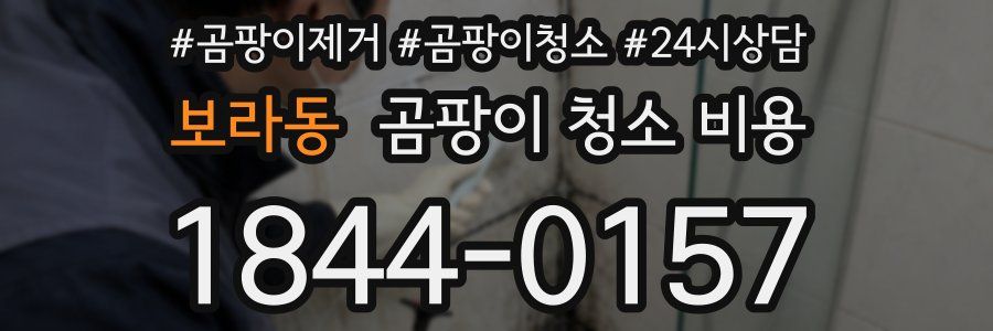 보라동 곰팡이 청소 비용
