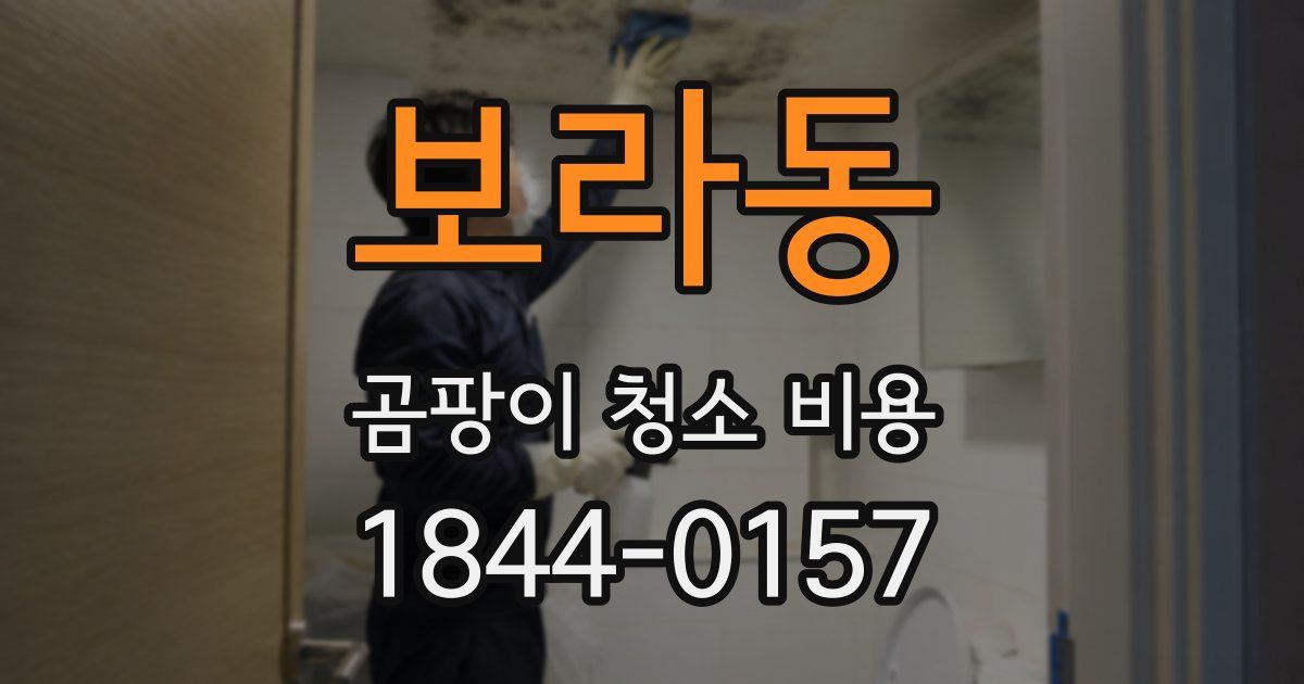 보라동 곰팡이 청소 비용