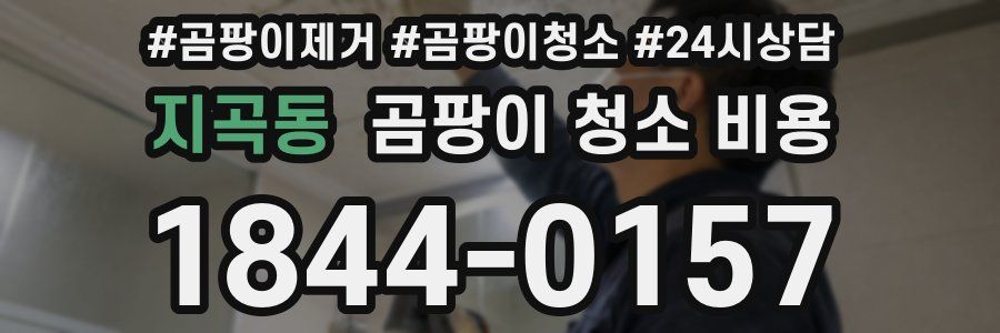 지곡동 곰팡이 청소 비용