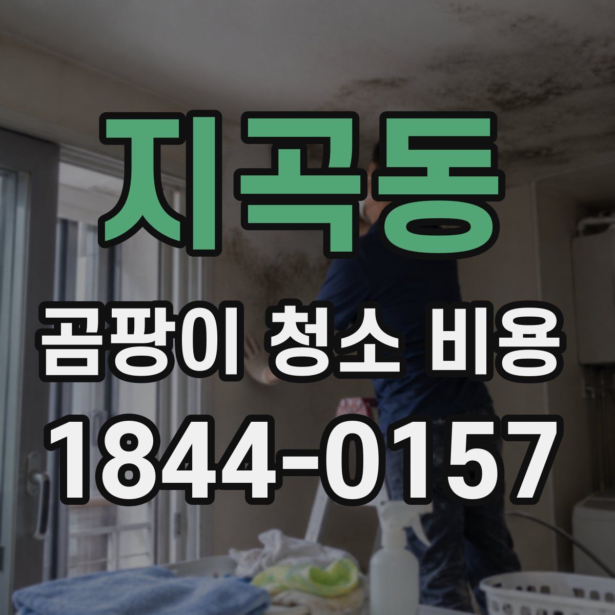 지곡동 곰팡이 청소 비용