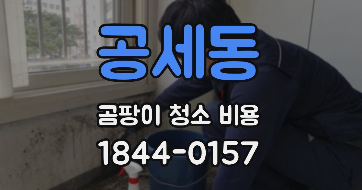 공세동 곰팡이 청소 비용