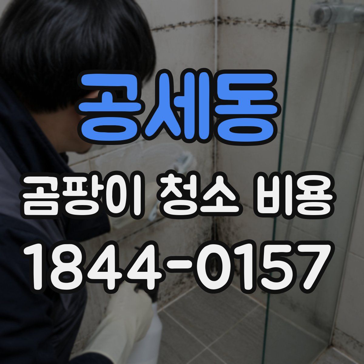 공세동 곰팡이 청소 비용